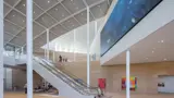 Escalators and art installations inside Sydney Modern